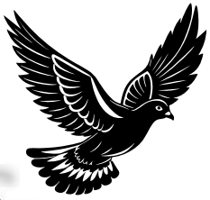 Professional Pigeon Racing